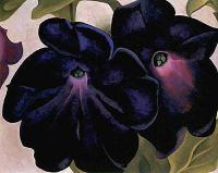 O Keeffe, Georgia - Black and Purple Petunias
